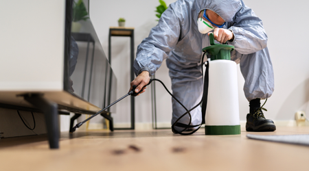 Termite Inspection